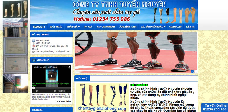 Thiết kế web & Quảng cáo Google cho Công ty Tuyến Nguyên (Chân tay giả Hải Phòng)