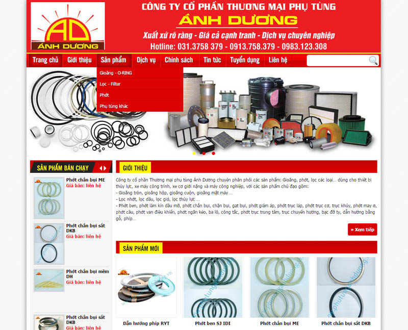 Thiết kế website Công ty CP Thương Mại Phụ Tùng Ánh Dương