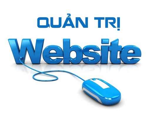 Quản trị webite là gì? Dịch vụ quản trị webite tại hải phòng