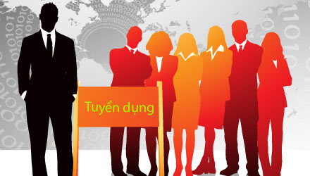 Tuyển nhân viên code web, thiết kế giao diện web, SEOer